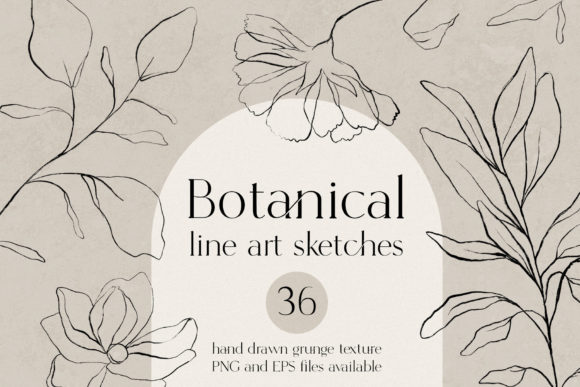 Botanical Line Art Sketches: A Strategic Asset for Visual Branding