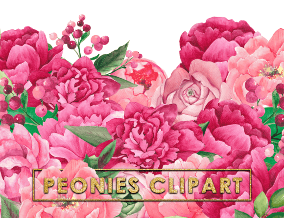 Designing with Watercolor Burgundy Peony Floral Clipart