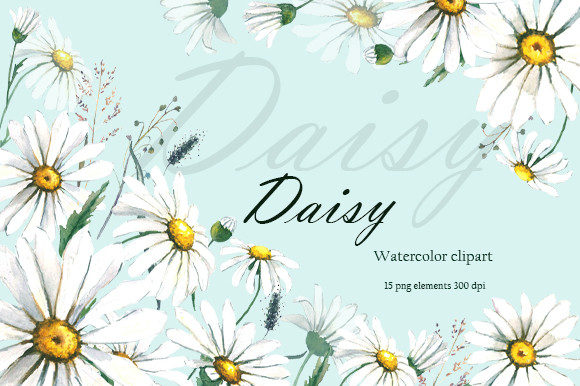 Elevating Design Projects with Premium Daisy Watercolor Clipart