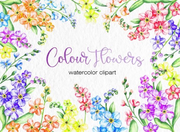 Embrace Soft Elegance with Colour Forget Me Not Clipart