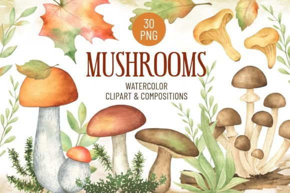 Embracing the Forest Floor: A Guide to Using Watercolor Mushroom and Fall Leaf Clipart in Modern Design