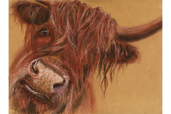 Highlands Cow: Elevating Your Design Projects with Timeless Rustic Charm