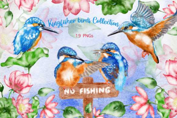 Watercolor Kingfisher Birds Collection: A Creative Resource for Designers and Makers