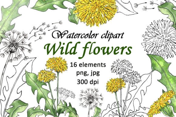 Watercolor Wild Flower Coloring PNG JPG Guide